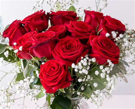 Romantic Red Roses Flowers