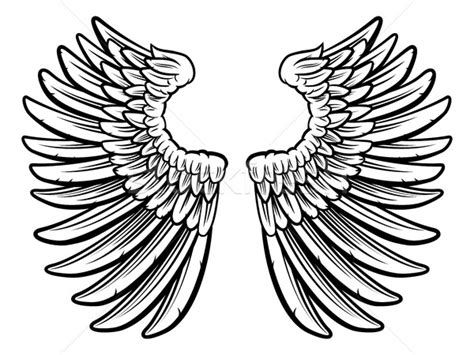 The wing is fully constructed! Feather Wings Drawing at GetDrawings | Free download