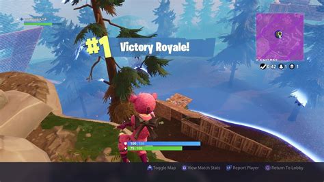 Fortnite First Solo Win Battle Royale100 Players Only Needed 1 Kill
