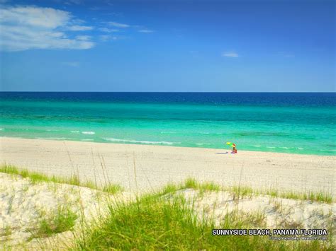Free Download World Visits Sanibel Island In Florida Usa Wonderful