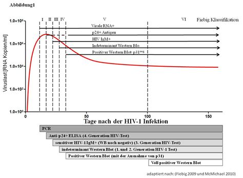 Dennoch sollten sie bei grippeähnlichen symptomen oder solchen, die nicht eindeutig einer bestimmten. 5. Die akute HIV-1-Infektion | hivbuch.de