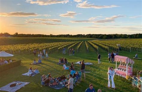 Wineries In The Hamptons You Should Be Visiting