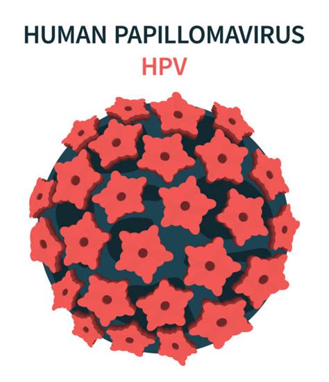 Virus Del Papiloma Humano Vectores Libres De Derechos Istock