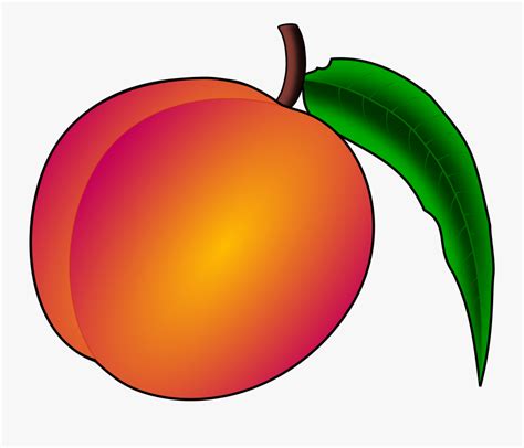 Peach Clip Art Peach Clipart Free Transparent Clipart Clipartkey