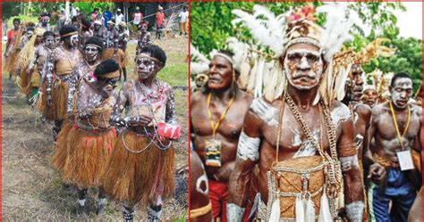 Pakaian Adat Papua Lengkap Gambar Dan Penjelasanya