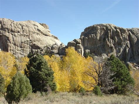 Ecology Of City Of Rocks National Reserve Gallery Us Geological Survey