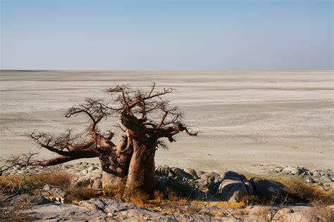 Experience It Makgadikgadi Pans National Park Salt Pans And Kalahari