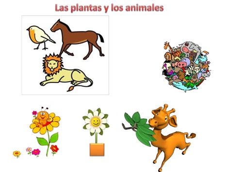 Tomidigital Las Plantas Y Los Animales