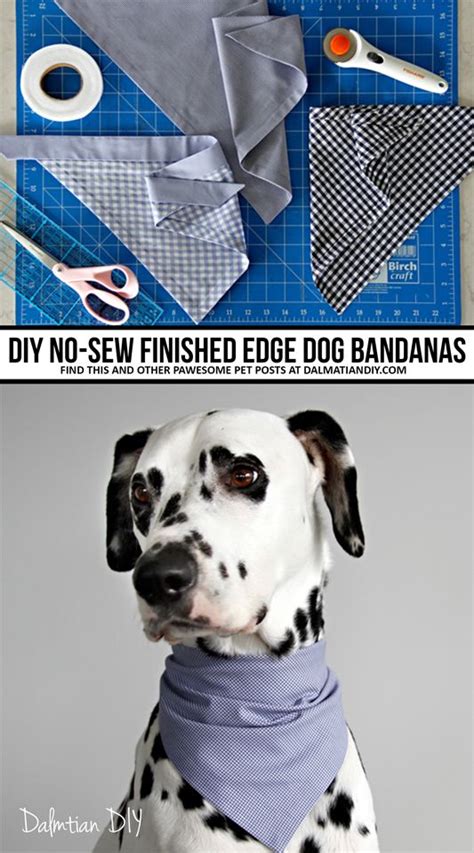 How To Make No Sew Over The Collar Bandanas For Your Dog Artofit