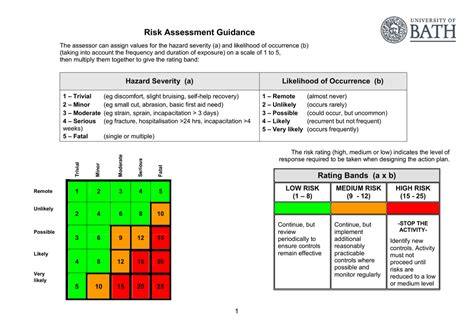 Risk Assessment Severity Levels Mayjasela