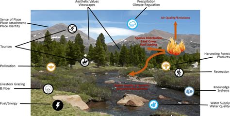 Mountain Systems Provide A Multitude Of Ecosystem Services Icons And