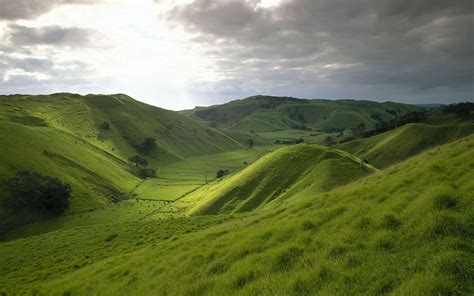 Grassyhillswallpapers28529 1600×1000 New Zealand Scenery
