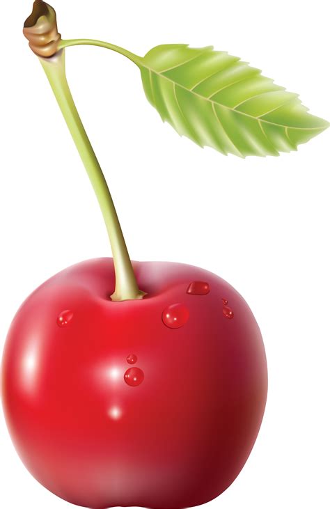 Download Cherries Png Image For Free