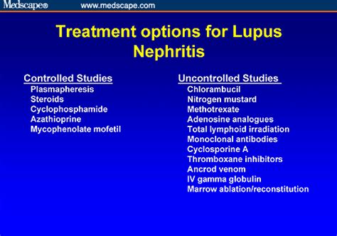 Treatment Options For Lupus Nephritis