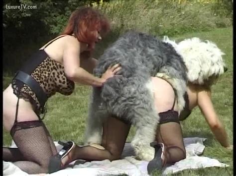 Furry Dog Copulates Sexy Whore Xxx Femefun