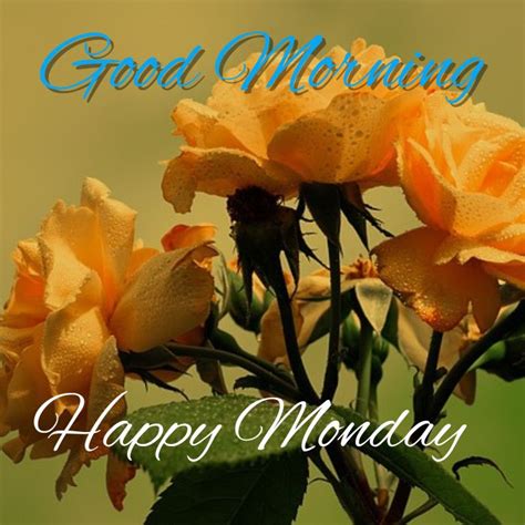 60 Happy Monday Good Morning Wishes And Blessings With Hd Images For