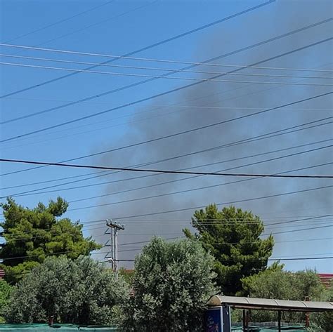 Σύμφωνα με την πυροσβεστική υπηρεσία, η φωτιά προς το παρόν καίει σε δασική περιοχή και δεν. Φωτιά τώρα στο Πανόραμα Παλλήνης