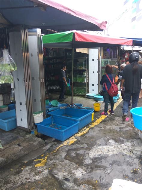 Kedai aksesori kereta 1 stop נמצא בshah alam. Wanz Ramli Blog: Ikan Hiasan : Kedai Ikan Hiasan