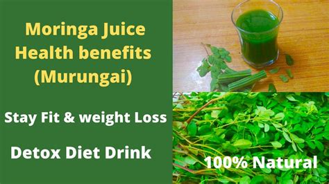 Moringa Juice Health Benefits Stayfit Weight Loss 100 Natural Green Detox Diet Drink