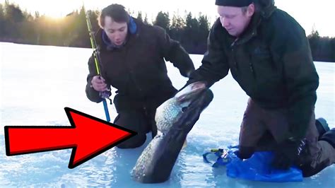 Ice Fishing Catching Big Fish Through The Ice Youtube