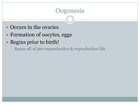 Ppt Spermatogenesis And Oogenesis Powerpoint Presentation Free
