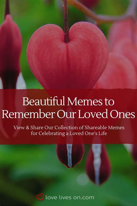 Remember A Loved One Who Has Passed Away By Sharing Our Collection Of