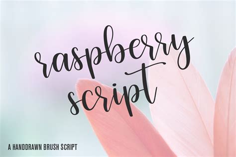 Raspberry Script Script Fonts Creative Market