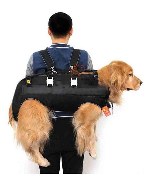 Pin On Dog Backpack Carrier