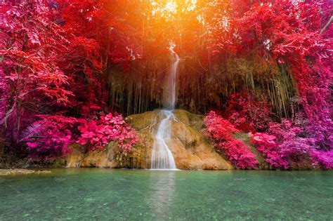 Beautiful Waterfall In Rainforest Stock Photos ~ Creative Market