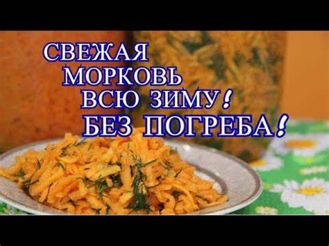 Морковь свежая на диете СВЕЖАЯ МОРКОВЬ ВСЮ ЗИМУ! БЕЗ ПОГРЕБА! КАК СОХРАНИТЬ МОРКОВЬ БЕЗ ПОГРЕБА СВЕЖАЯ МОРКОВЬ ВСЮ ЗИМУ! БЕЗ ПОГРЕБА! КАК СОХРАНИТЬ МОРКОВЬ БЕЗ ПОГРЕБА Морковь свежая на диете