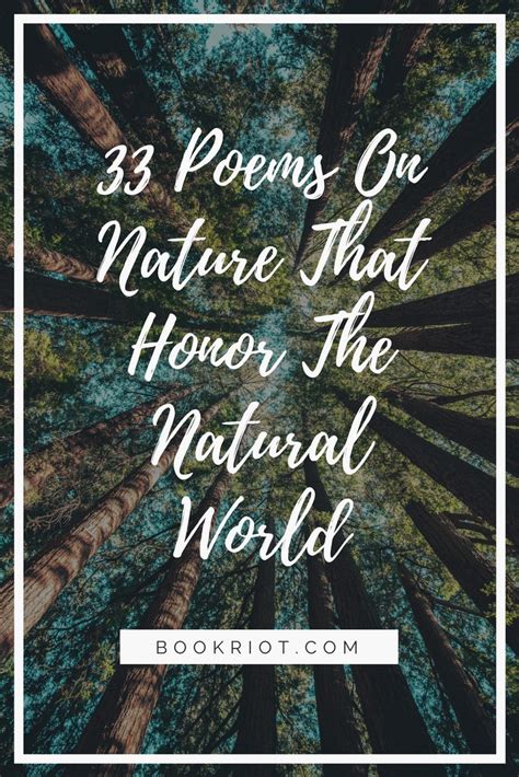 33 Poems On Nature That Honor The Natural World Book Riot