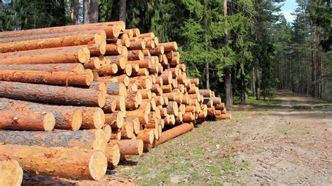 North Carolina Lumber Mill Takes Guesswork Out Of Operations With Gis