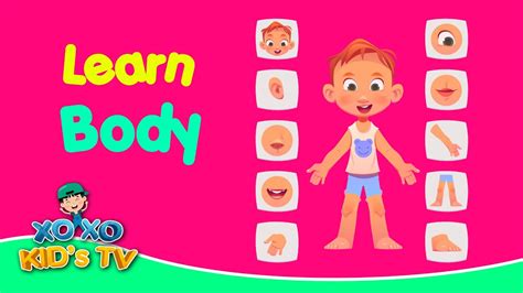 Learn Human Body For Kids Learn Vocabolary Body Part Learn Body