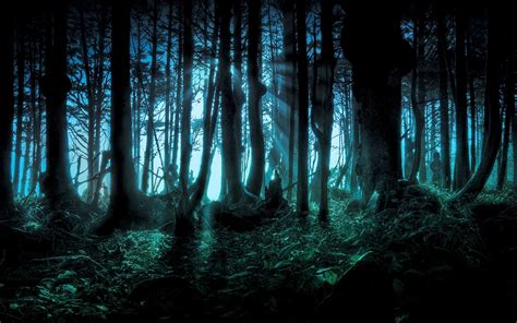 Nature Landscape Forest Dark Digital Art Wallpapers Hd