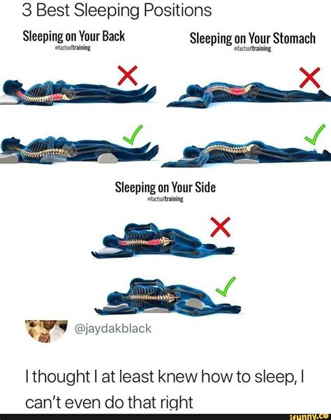 3 Best Sleeping Positions Sleeping On Your Back Sleeping On Your Stomach Efactsoftraining