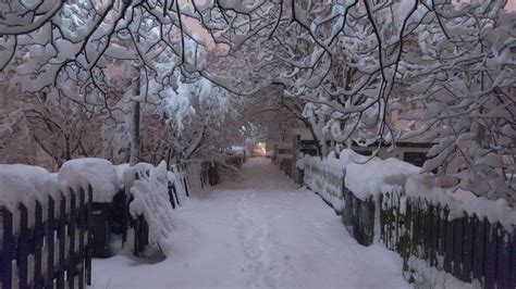 London recorded a snowfall of 10 centimetres last night. Great places to experience snowfall in India | Travelplanet