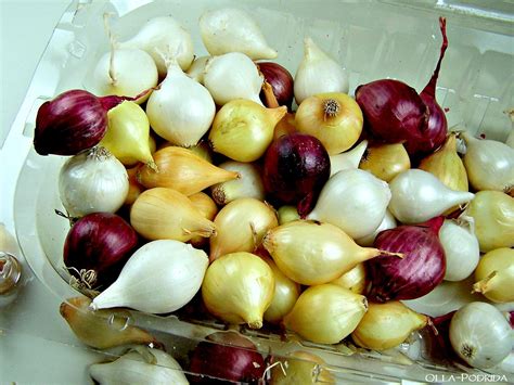 Olla-Podrida: How to Peel Pearl Onions
