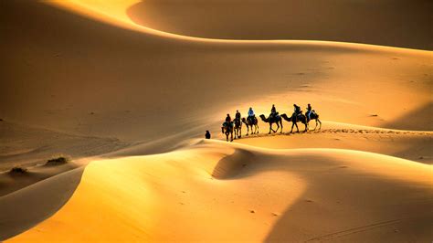 Saharan autiomaa: Parhaat bussikierrokset kohteessa Saharan autiomaa ...