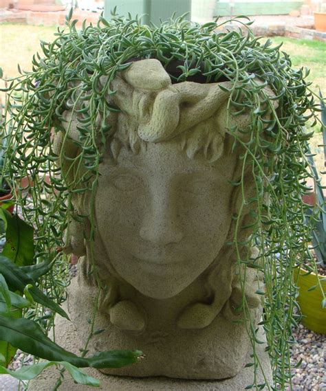 My Medusa Head Planter Pot Head Pinterest
