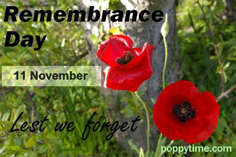 Remembrance Day Wallpaper 59 Pictures