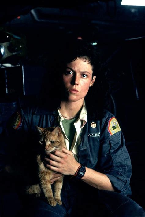 Jones The Cat From Alien Sigourney Weaver Aliens Movie Alien Ripley