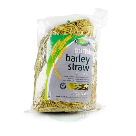 Blagdon Barley Straw Large Bale 1054669 Easy Garden Watering