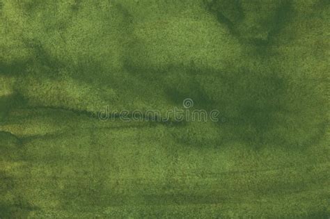 Olive Green Background Texture