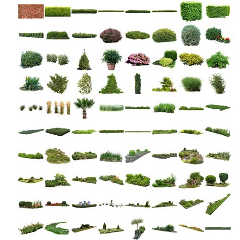 Cutout Plants V03 Cutout Vegetation For Architecture Renderings