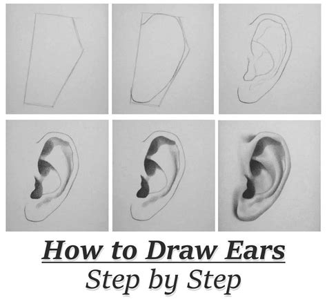 How To Draw An Ear Step By Step In Pencil Swearengin Wervas