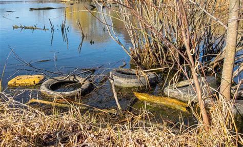 Old Tires Debris And Garbage Thrown Into Pond Stock Photo Image Of