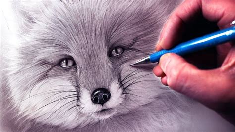 How To Draw A Fox Using Pencil And Graphite Step By Step Tutorial Art
