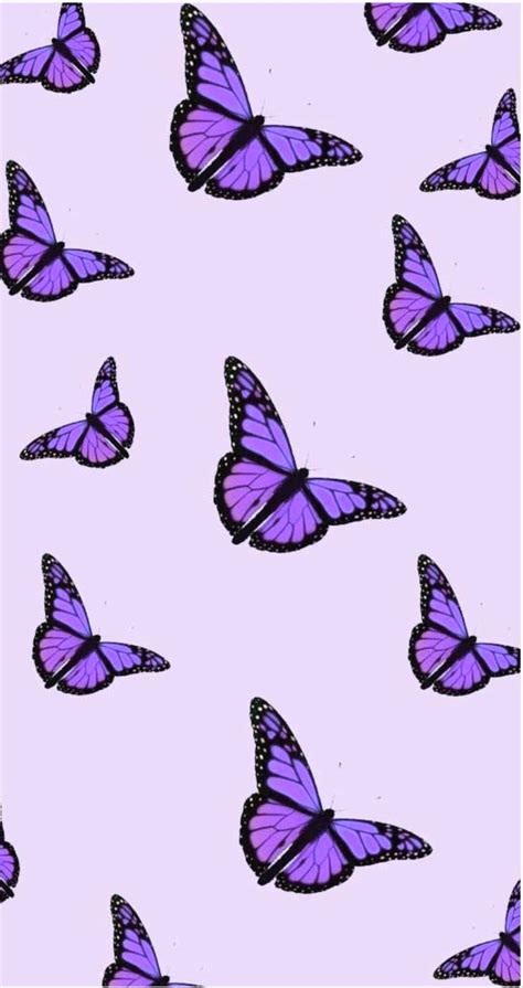 Purple Butterfly Aesthetic Wallpapers Wallpaper Cave A