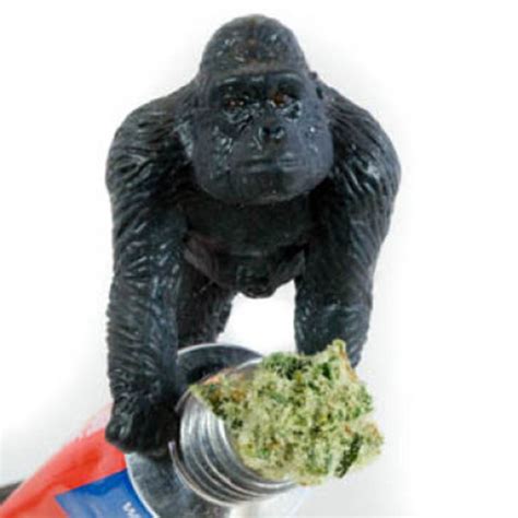 Gorilla Glue Single By Bugseed Spotify
