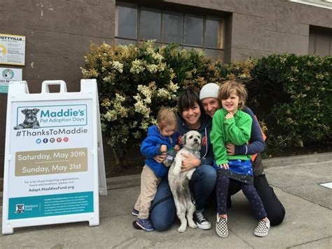 Maddies Adoption 16 Monty Adopted During Maddies Pet Adoption Days